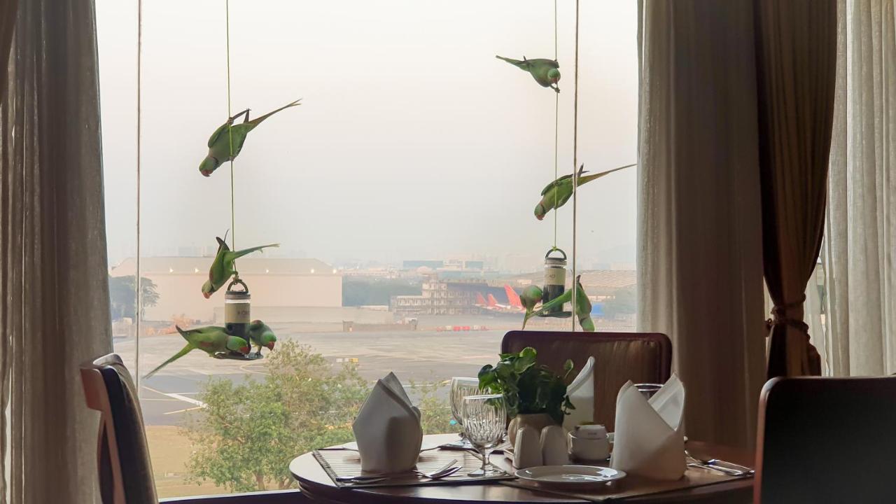The Orchid Hotel Mumbai Vile Parle Kültér fotó Parrots at the airport
